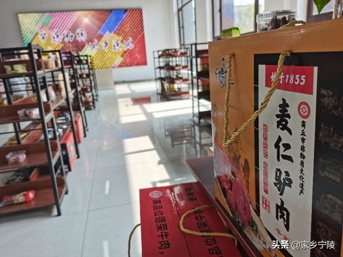 服裝鞋帽行業新風向 高峰論壇在河南軒豆文化傳播舉辦